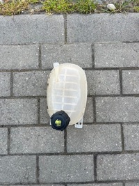 фото thumb №1, Бачок wody жидкость расширительный renault captur ii clio v