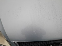 фото thumb №5, Ford focus c-max капот кришка двигуна u2