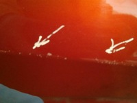 фото thumb №8, Renault arkana 19-22 suv двері правий перед передні праве 801128665