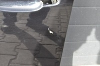 фото thumb №9, Porsche macan дверь левый перед левая передние