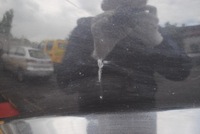 фото thumb №6, Бампер задний задняя lc9z seat leon ii 1p przed lift