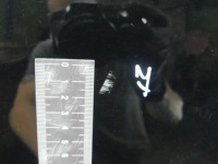 фото thumb №8, Дверь задняя левая volvo s60 ii 10-18 019-26