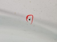 Дверь задний  левая kia venga hb 5d 09-14 белый 7f в Украине, фото thumb