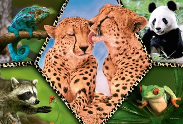 Пазл 100 Красота природы Animal Planet 16424