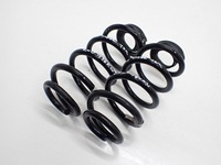 фото thumb №1, Пружина задняя задняя оригинал bmw 2 f45 f46 16r