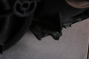 фото thumb №9, Bmw z3 e36 лампа фара правий перед європа 2493726