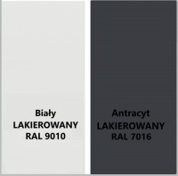 Двери наружные 55 мм LR-01 СО СТЕКЛОМ АНТРАЦИТОВОГО 80Л