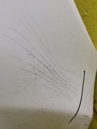 Ford fiesta mk7 бампер перед в Украине, фото thumb