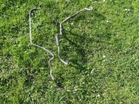 фото thumb №1, Opel astra j iv 1.6cdti шланг кондиционера