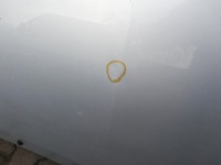 фото thumb №3, Капот двигателя renault twingo ii rok передний. 2007 -