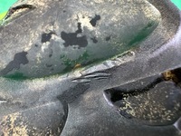 фото thumb №12, Поршень поршни + шатунные шатуны шатун renault megane 3 iii 1.2 tce 08- h5fa400