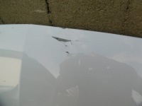 фото thumb №4, Seat leon iii 5f0 lift - капот