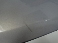 фото thumb №13, Защита перед renault scenic ii