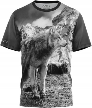 Koszulka Męska Termoaktywna Tshirt Do Biegania L