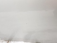 фото thumb №9, Bmw 3 e91 e90 дверь правое перед titansilber 354