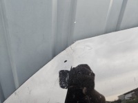 Капот крышка двигателя skoda octavia iv 4 5e3 2020- bardzo хорошее состояние оригинал Цена, фото thumb