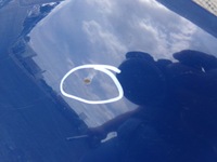 фото thumb №6, Капот перед передня vw touran