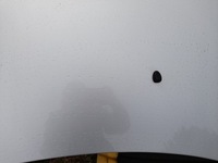 фото thumb №8, Peugeot 307 капот крышка двигателя ezrc