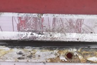 фото thumb №13, Стекло боковая правая перед передняя bmw e36 compact 90-00