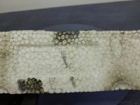 фото thumb №6, Mazda cx-5 i lift усилитель абсорбер балка бампера kd53-50111