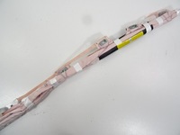 фото thumb №8, Ford ecosport lift air bag шторка безпеки права