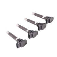 фото thumb №9, Audi tt 8j a3 8p a5 8t бензин катушка зажигания комплект набор 06h905115b