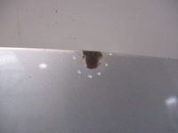 фото thumb №2, Renault scenic ii капот крышка багажника передняя ted69