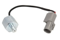 фото thumb №1, Delphi as10252 датчик spalania детонационный