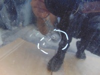 фото thumb №7, Дверь левый задняя volkswagen golf v kombi 1k9833311b