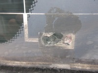 фото thumb №5, Mercedes w163 скло кришки багажника