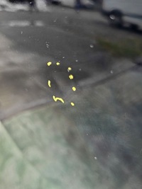 фото thumb №6, Капот mercedes gla 2 ii h247 2020-