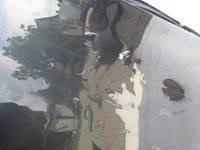 фото thumb №7, Дверь bmw 7 g11 g12 15- левый перед