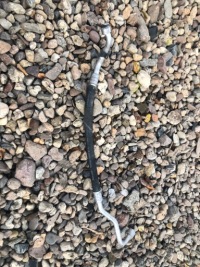 фото thumb №1, Fiat stilo 1.8 16v шланг wąż кондиционера