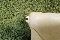 фото thumb №8, Бачок омивача renault master iii фургон fv 2891000023r 2.3l