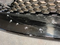 фото thumb №5, Решітка радіатора ford mustang vi lift решітка радіатора 2017 org