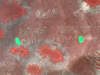 Купить Renault clio 2 2 campus рестайлинг  05-12 бампер задний задний, фото thumb