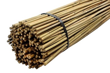 500x TYCZKA BAMBUSOWA PODPORA DO ROŚLIN KWIATÓW-TYCZKA ROŚLIN 105cm 8-10mm