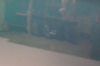 фото thumb №13, Двері правий задня toyota land cruiser j90 j95