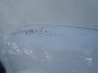 фото thumb №7, Hyundai santa fe iii 12-15 капот крышка двигателя