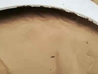 фото thumb №6, Крила лівий перед передній berlingo partner 2008-18r