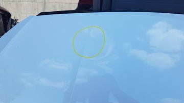 фото thumb №10, Audi a5 8w ls9r белая жемчуг капот крышка двигателя красивая демонтаж