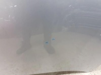 фото thumb №8, Капот vw id4 id.4 2020-