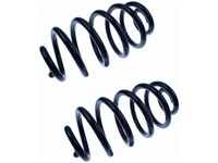 фото thumb №1, Пружины зад opel signum 1.8-3.0 03-08 vectra c 1.6-3.0 03-09