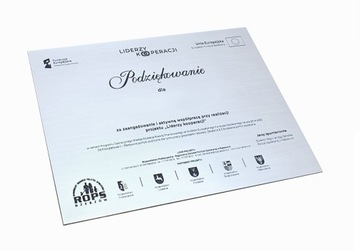 БЕЛЫЙ ДЕРЕВЯННЫЙ ФОН 152 х 203 мм, гравюра, диплом