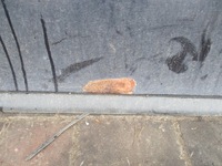 фото thumb №6, Дверь левая правое перед задняя audi a3 8l lift fl 5d lz5l