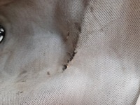 фото thumb №11, Mazda 6gh рамка чехол защита выборщик передач