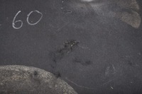 фото thumb №6, Volvo xc60 i шумоизоляция подкрылок капот 31402485