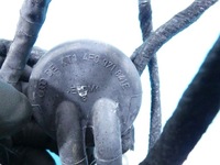 фото thumb №7, Джгут двері перед правих audi q5 08-16