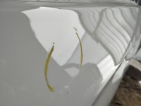 фото thumb №7, Opel grandland дверь правое перед