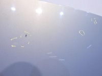 фото thumb №3, Капот tea19 renault scenic ii